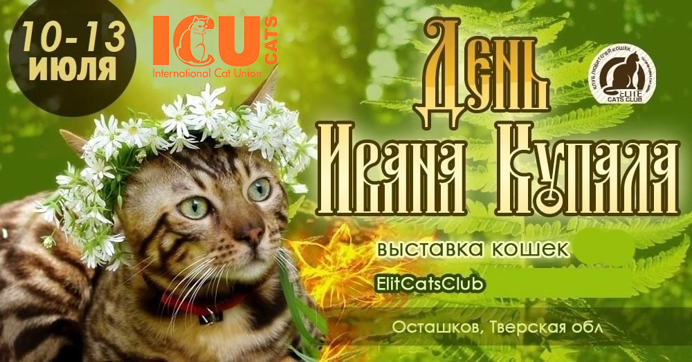 Отчет с выставки ICU